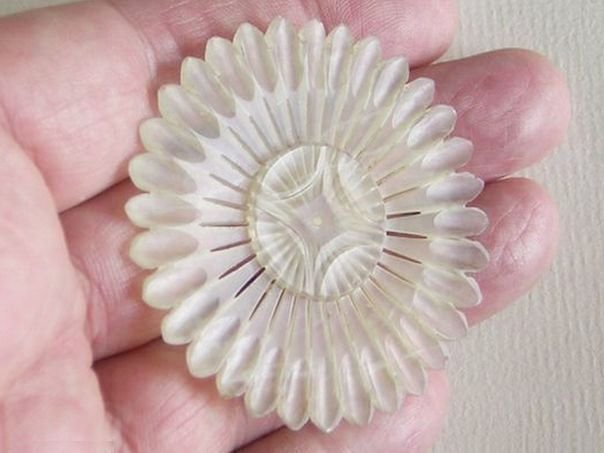 Flower  9 – (7950) Xiu yu